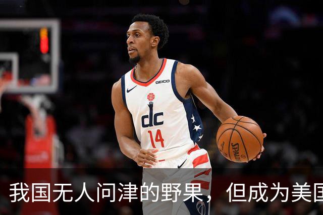 我国无人问津的野果，但成为美国人的心头宝，60元1斤供不应求？