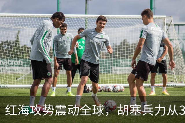 红海攻势震动全球，胡塞兵力从3千涨到35万，全靠一神秘领头人？