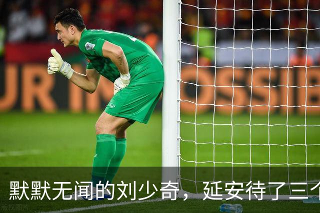 默默无闻的刘少奇，延安待了三个月，凭什么挤进中央核心圈？